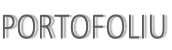 PORTOFOLIU